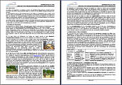 Elterninformation 05/2005