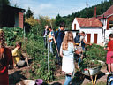 Unser Gymnasiasten bei der Gartenarbeit bei Wolkenburger Brgern